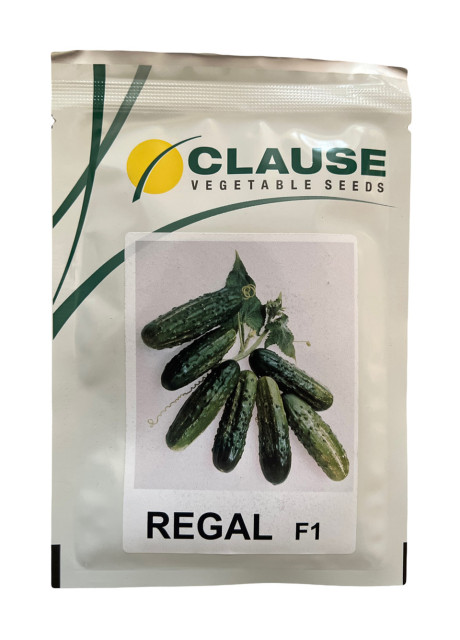 РЕГАЛ F1 / REGAL F1 10 грам - Огірок Бджолозапильний, Clause