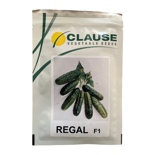 РЕГАЛ F1 / REGAL F1 10 грамм - Огурец Пчелоопыляемый, Clause