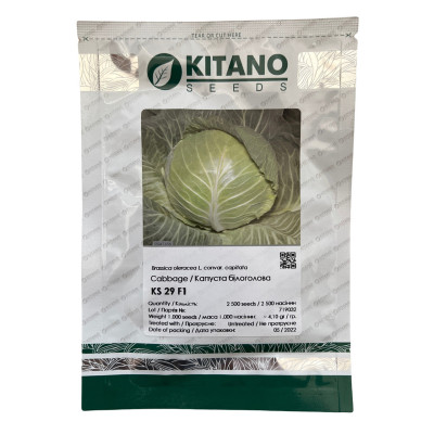КС 29 F1 / KS 29 F1 2 500 насінин - Капуста Белокочанная, Kitano Seeds