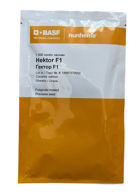 ГЕКТОР F1 / HEKTOR F1 1 000 насінин - Огірок Бджолозапилюючий, Nunhems