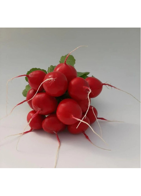 КС 1297 F1 / KS 1297 F1 250 грам - Редис Червоний Круглий, Kitano Seeds