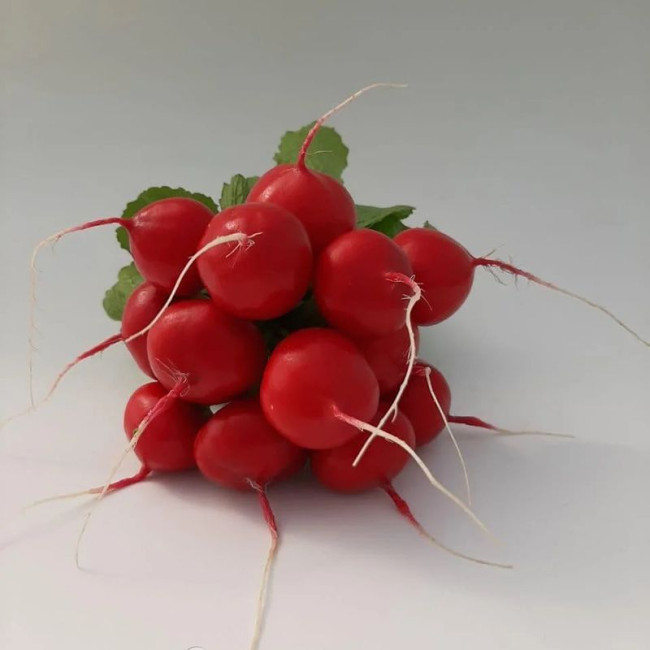 КС 1297 F1 / KS 1297 F1 250 грамм - Редис Красный Круглый, Kitano Seeds