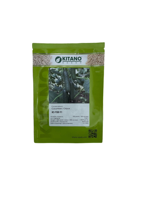 КС 930 F1 / KS 930 F1 100 семян – Огурец Партенокарпический, Kitano Seeds