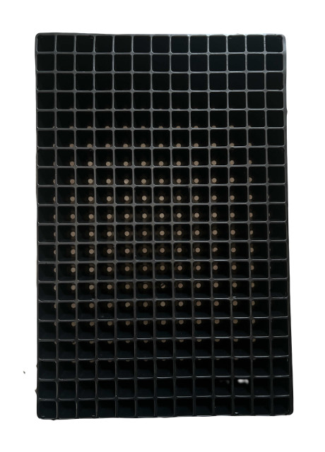 Касета для розсади ROKO 260 комірок (400х600 мм) ROKO