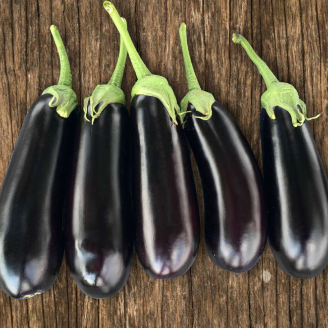 КС 5070 F1 / KS 5070 F1 100 насінин — Баклажан, Kitano Seeds