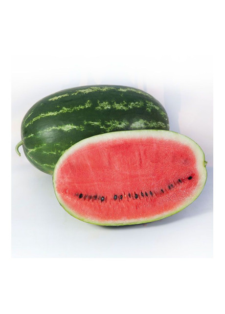 КС 632 F1 / KS 632 F1 1 000 семян — Арбуз, Kitano Seeds