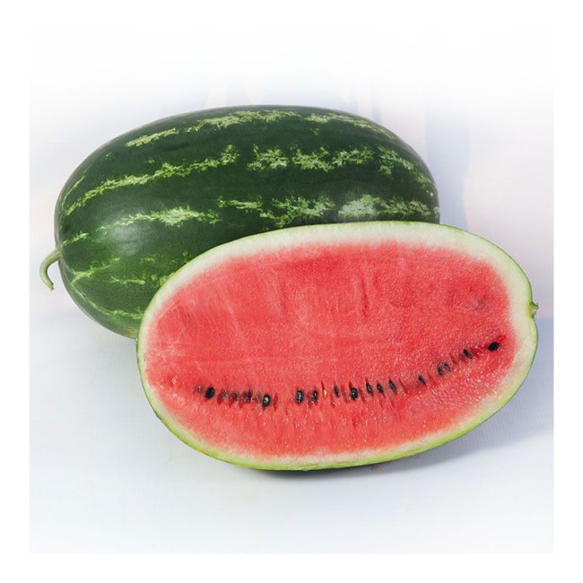 КС 632 F1 / KS 632 F1 1 000 семян — Арбуз, Kitano Seeds