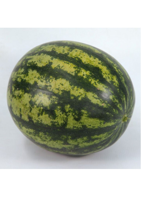 КС 633 F1 / KS 633 F1 100 семян — Арбуз, Kitano Seeds
