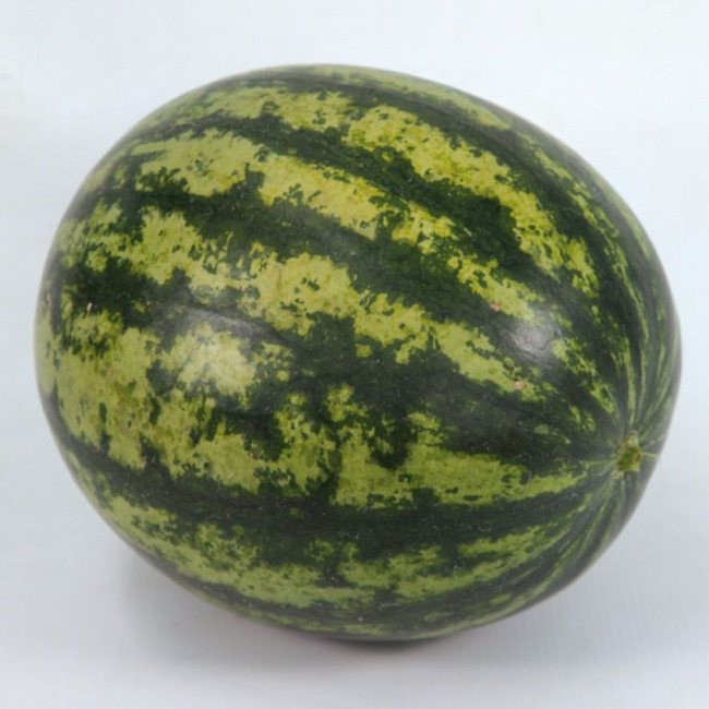 КС 633 F1 / KS 633 F1 100 семян — Арбуз, Kitano Seeds