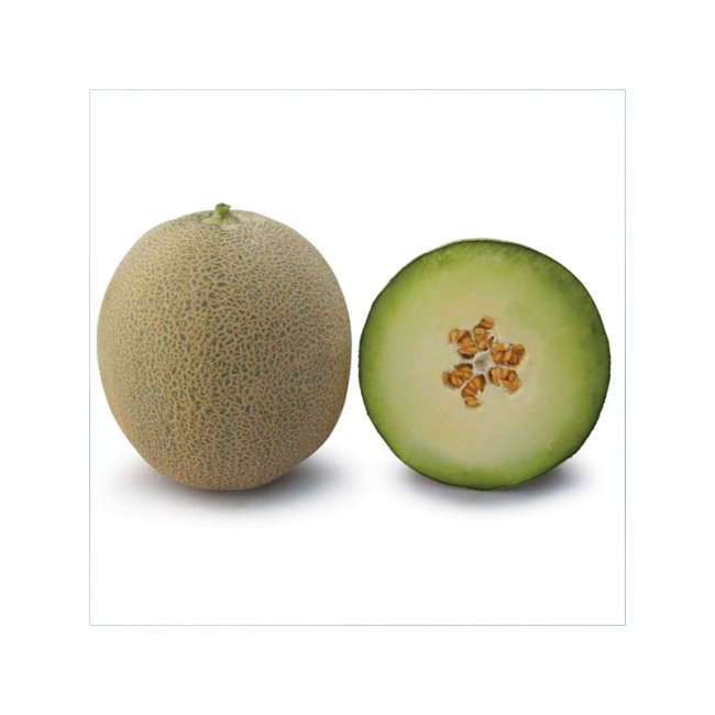 КС 7049 F1 / KS 7049 F1 1 000 семян — Дыня, Kitano Seeds