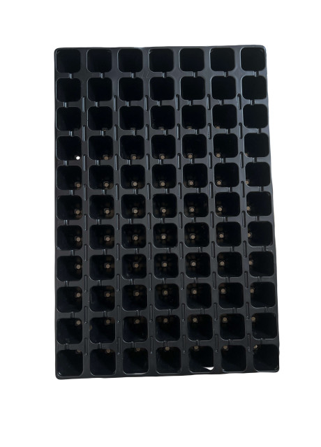 Кассета для рассады ROKO 77 ячеек (400х600 мм) ROKO