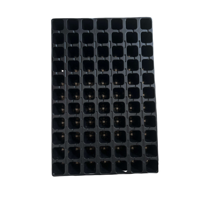Кассета для рассады ROKO 77 ячеек (400х600 мм) ROKO