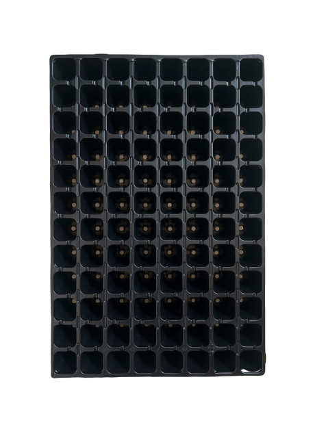 Кассета для рассады ROKO 96 ячеек (400х600 мм) ROKO