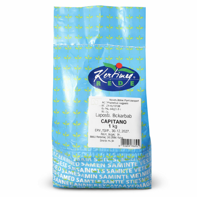 Фасоль Капитано (Capitano) — семена 1 кг, раннеспелый сорт