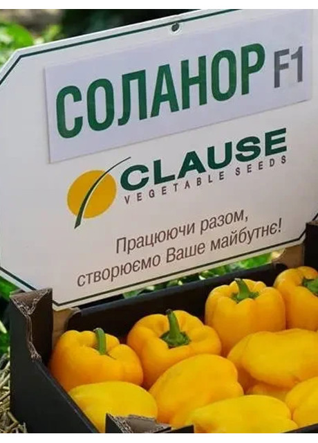СОЛАНОР F1 / SOLANOR F1 1 000 насінин – Перець Солодкий, Clause