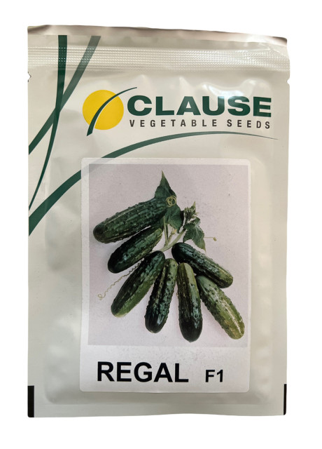 РЕГАЛ F1 / REGAL F1 100 грамм - огурец пчелоопыляемый, Clause
