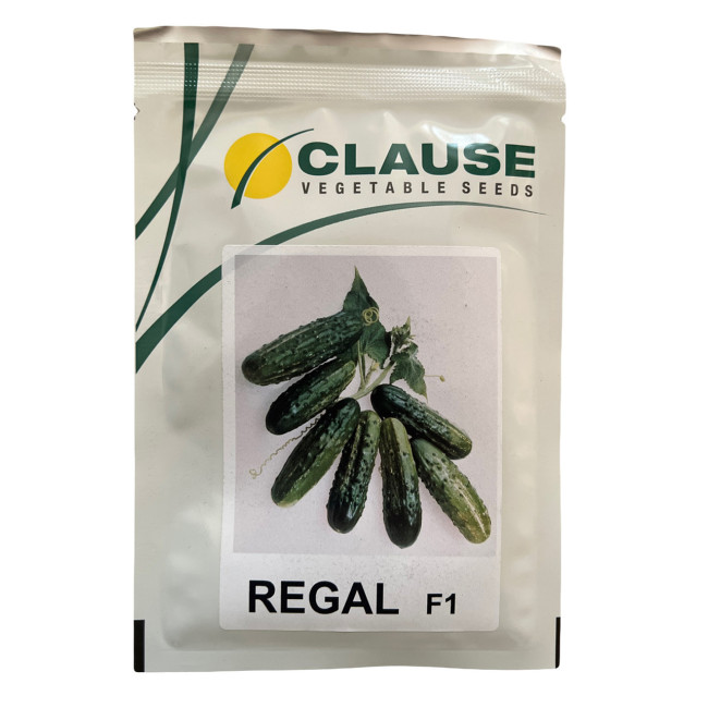 РЕГАЛ F1 / REGAL F1 100 грам - огірок бджолозапильний, Clause