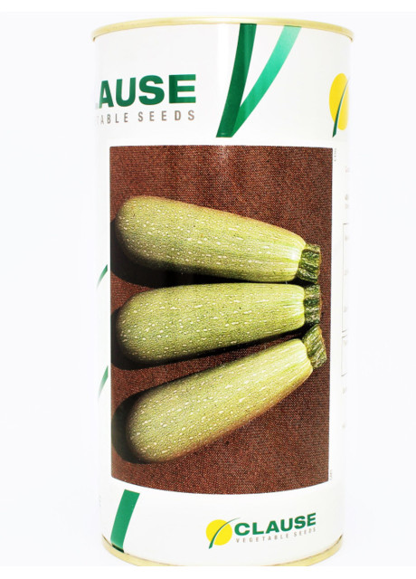 АСМА F1 / ASMA F1 500 семян - Кабачок, Clause