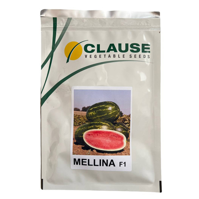 МЕЛИНА F1 / MELINA F1 1 000 семян – Арбуз, Clause