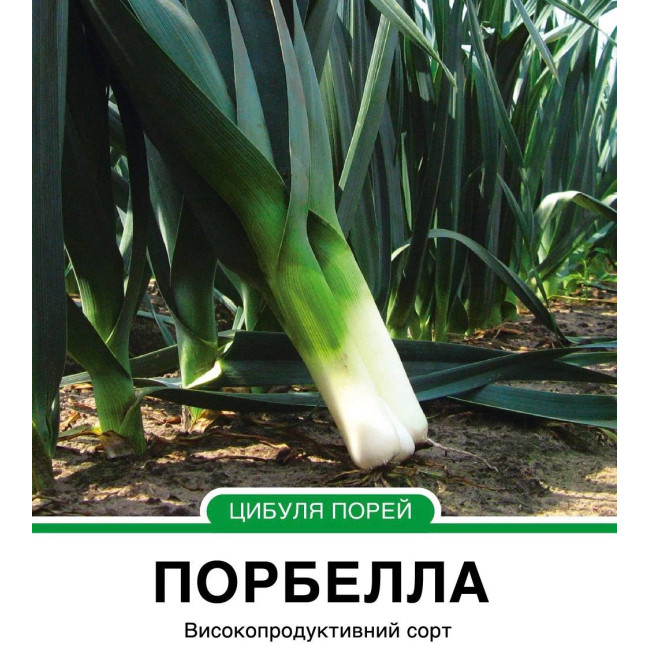 Лук-порей Порбелла 10 000 семян