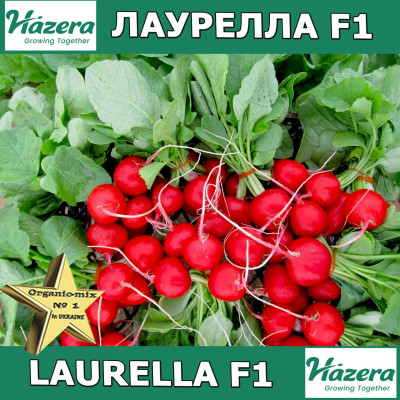 Редис Лаурелла F1 500 г