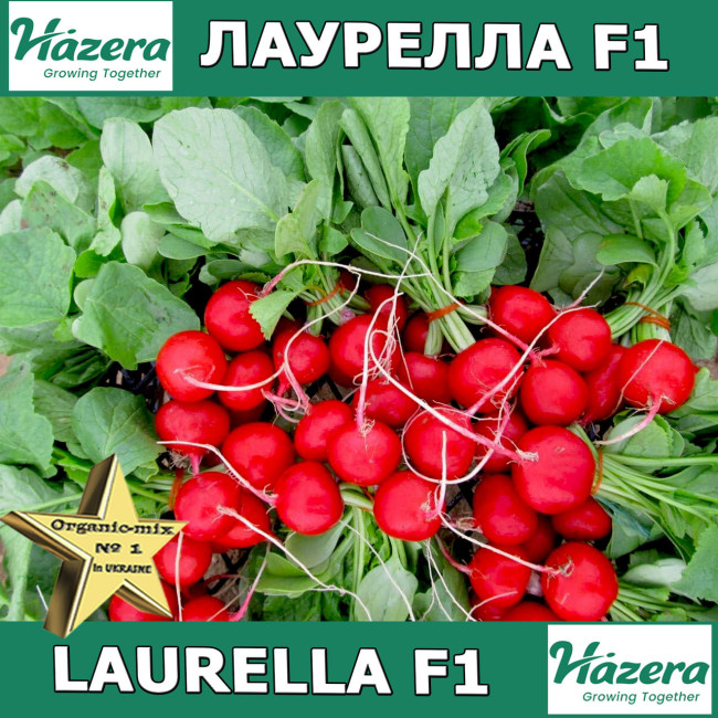 Редис Лаурелла F1 500 г