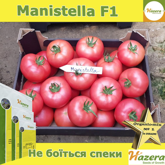 Томат индетерминантный розовый Маністелла (3626)F1 500 семян