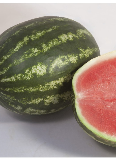 ШЕЙНИ (КС 163) F1 / SHEYNI (KS 163) F1 100 семян - Арбуз, Kitano Seeds