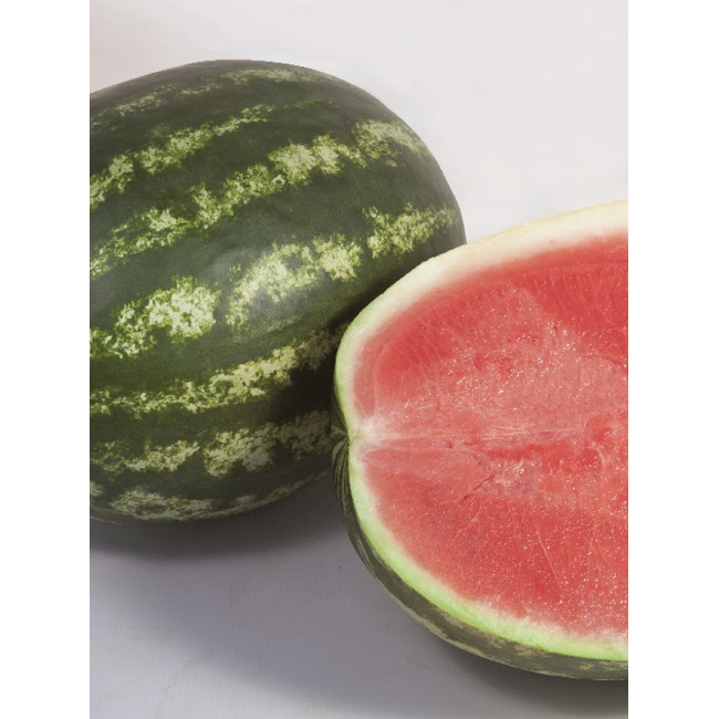 БАЛУ (КС 165) F1 / BALU (KS 165) F1 1 000 семян — Арбуз, Kitano Seeds
