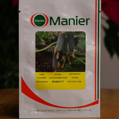 Семена огурца Моджо F1 (Mojo F1) Manier Seeds 500