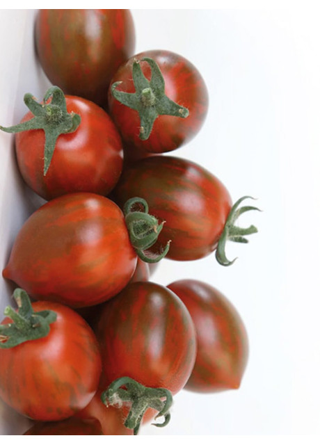 КС 277 F1 / KS 277 F1 30 насінин — Томат Індетермінантний, Kitano Seeds