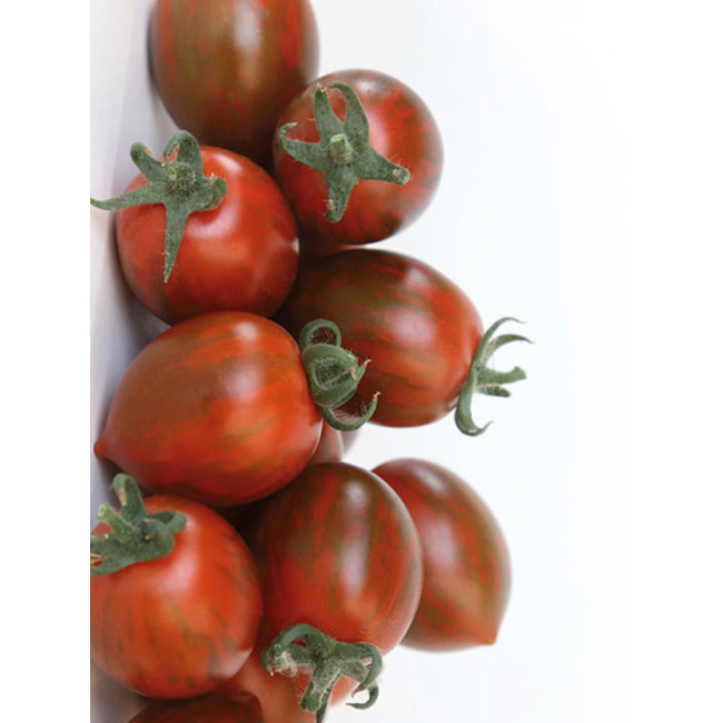 КС 277 F1 / KS 277 F1 30 насінин — Томат Індетермінантний, Kitano Seeds