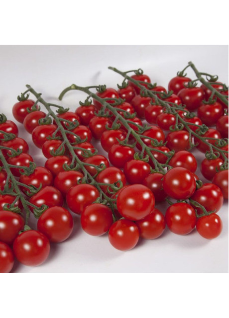 ІТІРО (КС 4559) F1 / ITIRO (KS 4559) F1 30 насінин — Томат Індетермінантний, Kitano Seeds