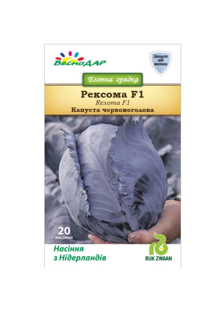 РЕКСОМА F1 / REXOMA F1 2 500 насінин (Каліброване насіння) - Капуста Червоноголова, Rijk Zwaan