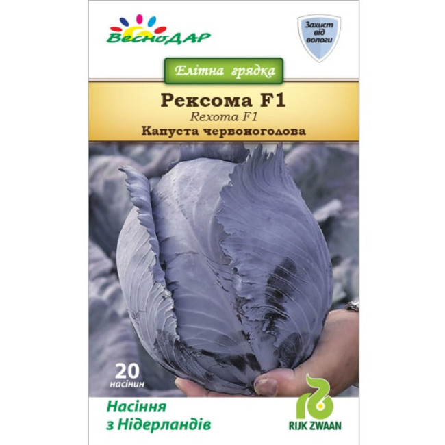 РЕКСОМА F1 / REXOMA F1 2 500 семян (Калиброванные семена) - Капуста Краснокочанная, Rijk Zwaan
