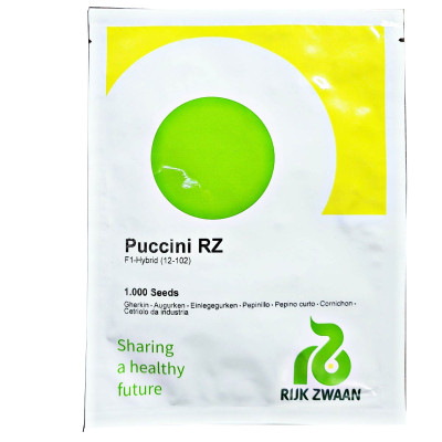 ПУЧІНІ F1 / PUCCINI F1 10 г - Огурец Партенокарпический, Rijk Zwaan