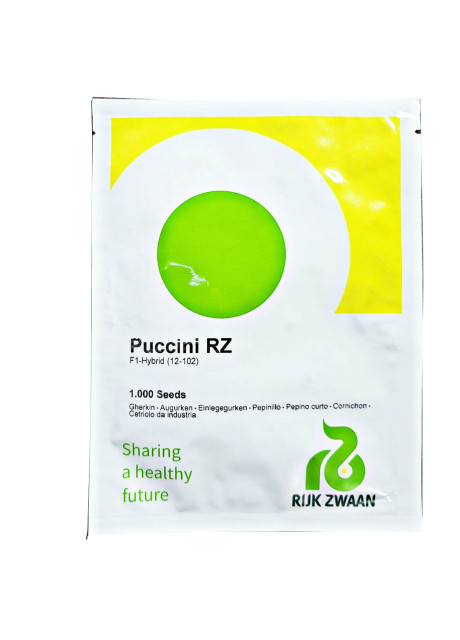 ПУЧІНІ F1 / PUCCINI F1 250 г - Огірок Партенокарпічний, Rijk Zwaan