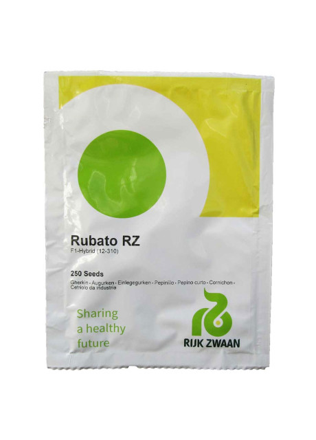 РУБАТО F1 / RUBATO F1 250 семян - Огурец Партенокарпический, Rijk Zwaan