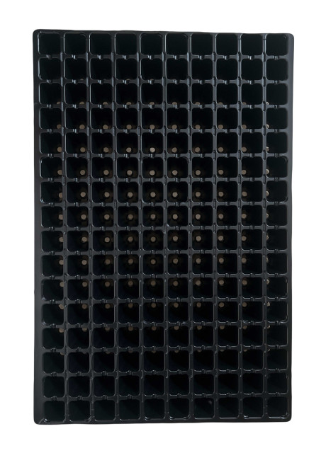 Кассета для рассады ROKO 160 ячеек (400х600 мм) ROKO