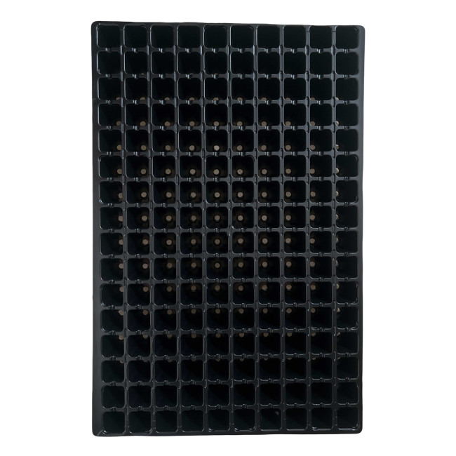 Кассета для рассады ROKO 160 ячеек (400х600 мм) ROKO
