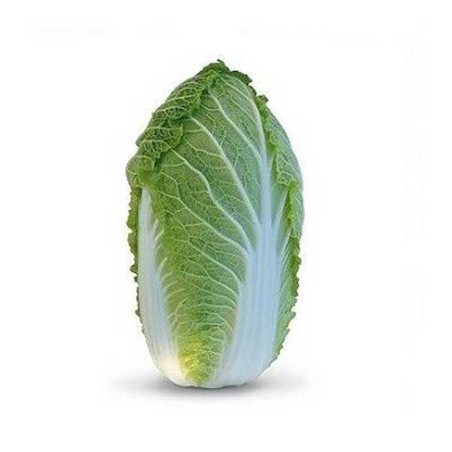 ЯМОРИ (КС 340) F1 / YAMORI (KS 340) F1 1 000 семян — Капуста Пекинская, Kitano Seeds