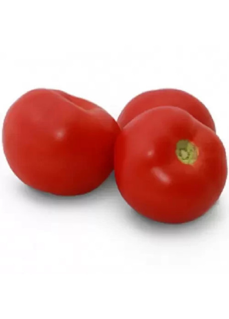 КС 2910 F1 / KS 2910 F1 1 000 семян — Томат Детерминантный, Kitano Seeds
