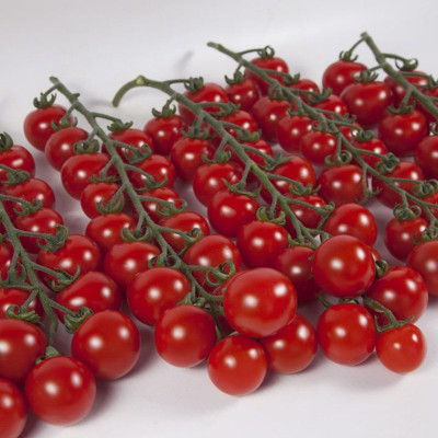 ИТИРО (КС 4559) F1 / ITIRO (KS 4559) F1 500 семян — Томат Индетерминантный, Kitano Seeds