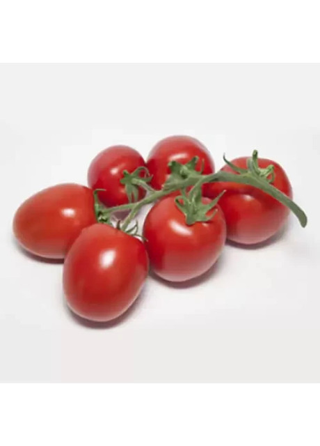 БАНТІ (КС 3819) F1 / BANTI (KS 3819) F1 100 насінин — Томат Індетермінантний, Kitano Seeds