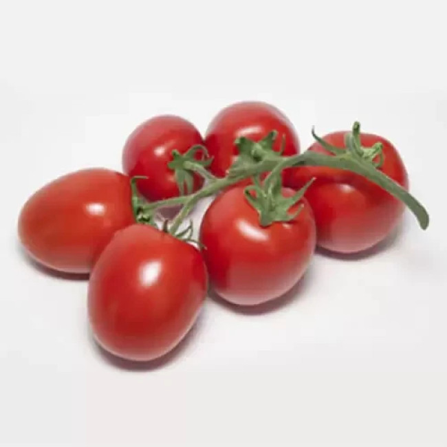 БАНТИ (КС 3819) F1 / BANTI (KS 3819) F1 100 семян — Томат Индетерминантный, Kitano Seeds
