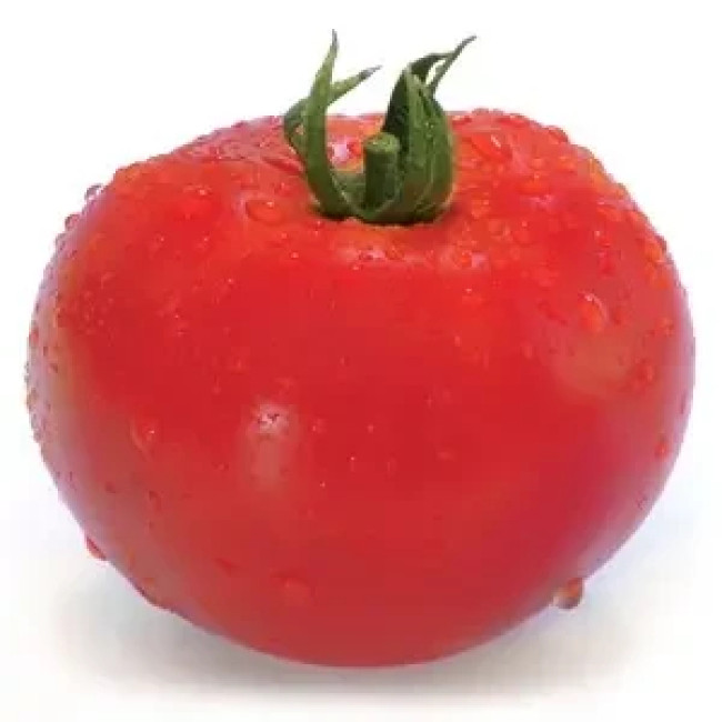 ХИТОМАКС F1 / HITOMAKS F1 100 семян — Томат Индетерминантный, Kitano Seeds