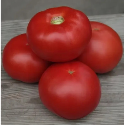 КИБО F1 (KS 222) / KIBO F1 (KS 222) 1 000 семян — Томат Индетерминантный, Kitano Seeds