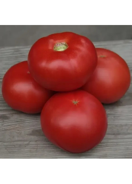 КИБО F1 (KS 222) / KIBO F1 (KS 222) 1 000 семян — Томат Индетерминантный, Kitano Seeds