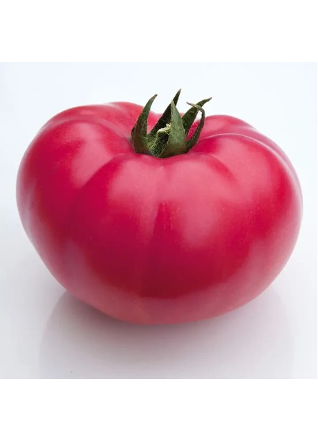 КС 3811 F1 / KS 3811 F1 500 семян — Томат Индетерминантный, Kitano Seeds