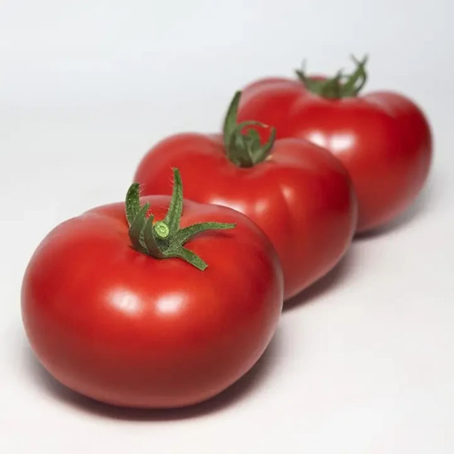КС 301 F1 / KS 301 F1 500 семян — Томат Индетерминантный, Kitano Seeds